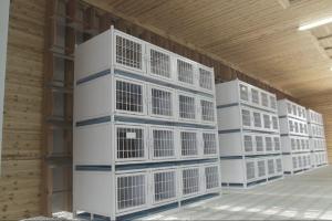 贵州万顺公棚：第三关480公里决赛扫描