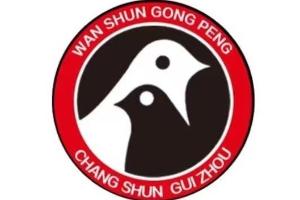 训飞视频